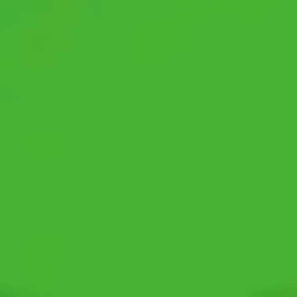 All-Purpose Ink, Spring Green - Tsukineko