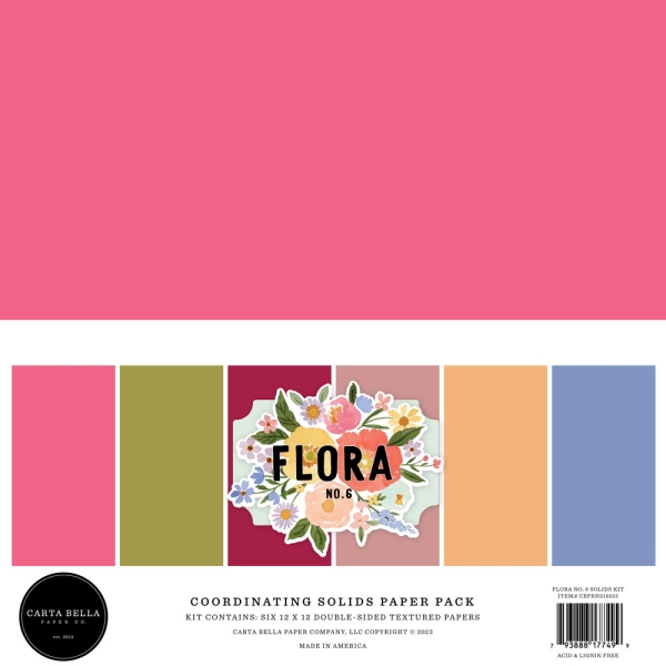 Flora #6 12x12 Coordinating Solids - Carta Bella