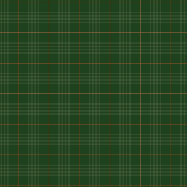 Christmas Joy - Christmas Time Tartan, Designpapier - Echo Park Paper