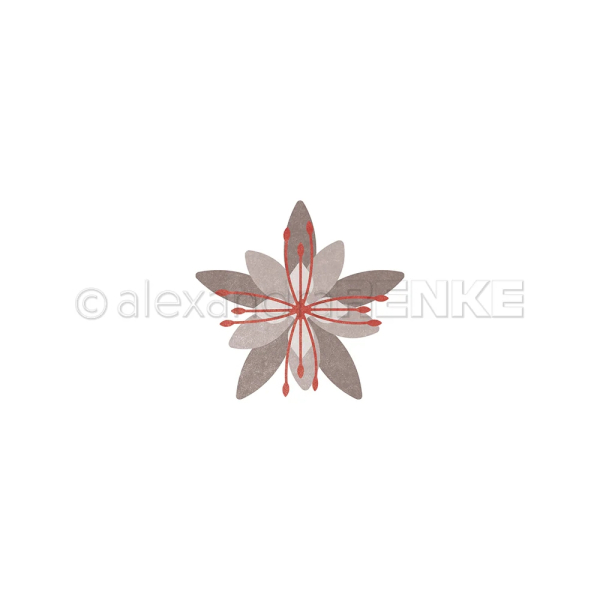 3D Sternblume, Stanze - Alexandra Renke