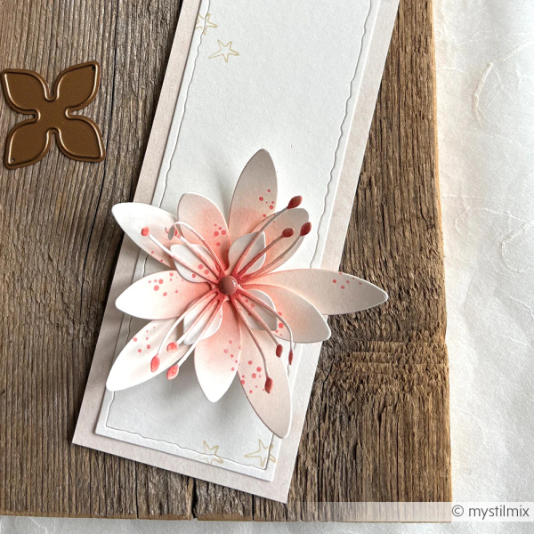 3D Sternblume, Stanze - Alexandra Renke