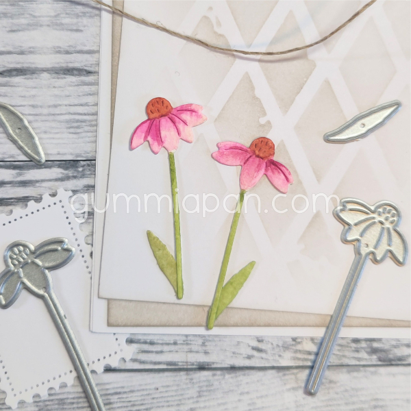 Kleiner Sonnenhut, Stanze - Gummiapan