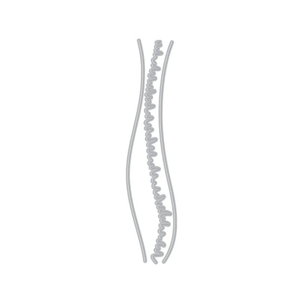 Landscape, Stanze - Hero Arts