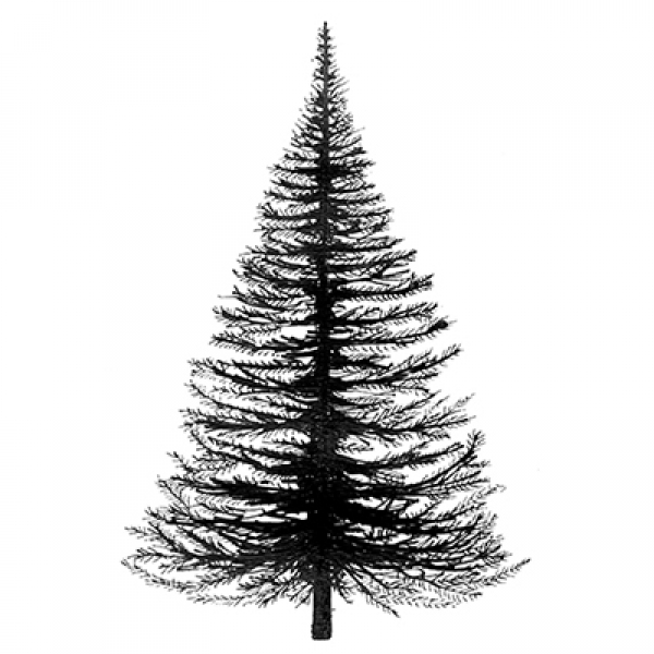 Fir Tree, Clearstamp - Lavinia Stamps