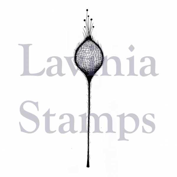 Fairy Thistle, Clearstamp - Lavinia Stamps