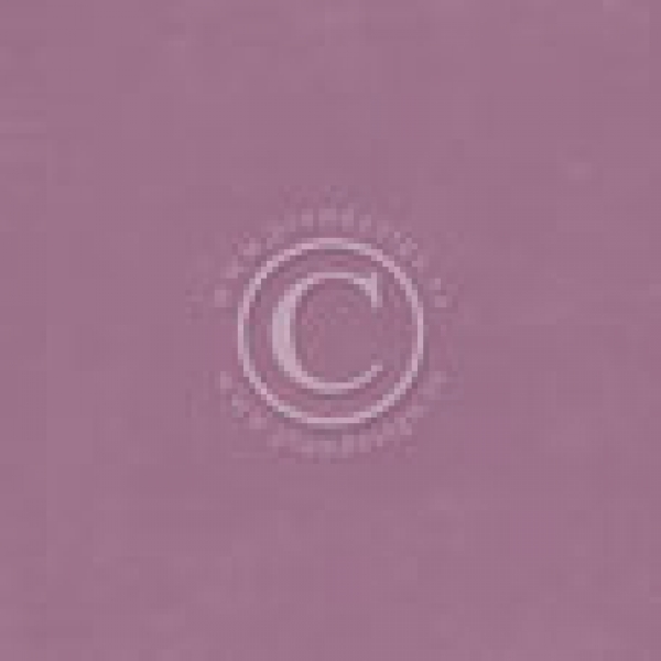 Pion Palette - Pion Purple II