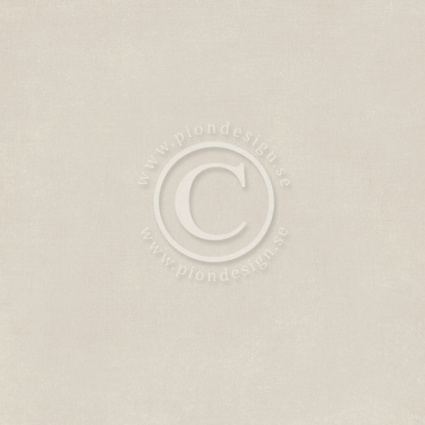 Pion Palette - Pion Grey I