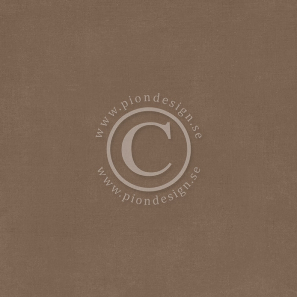 Pion Palette - Pion Brown II