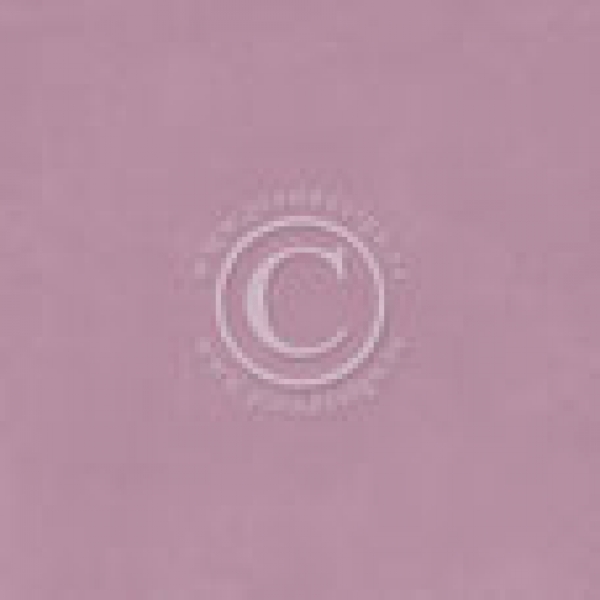 Pion Palette - Pion Purple V