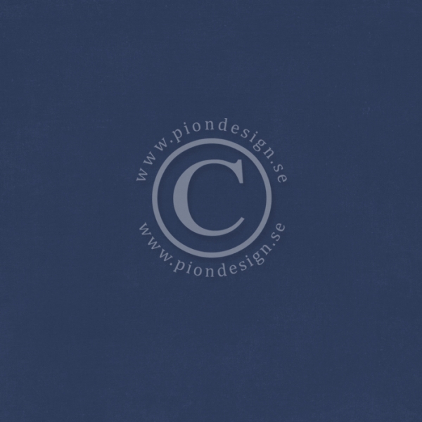 Pion Palette - Pion Blue VIII