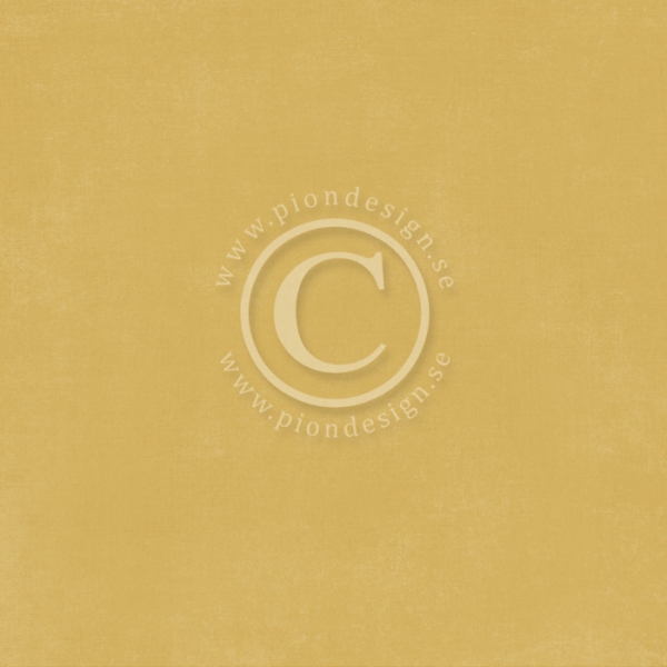 Pion Palette - Pion Golden Ocra I