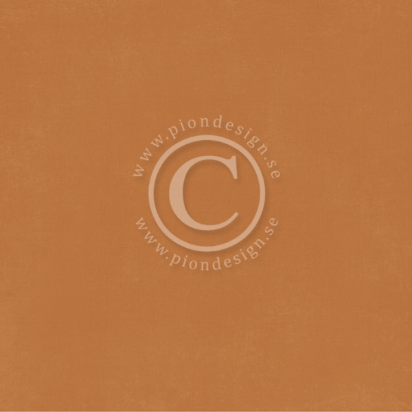 Pion Palette - Pion Terracotta I