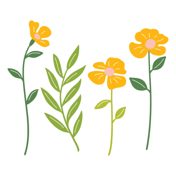 Leaf & Bloom, Stanze - Spellbinders