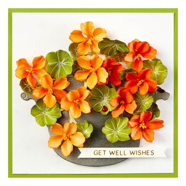 Nasturtium and Galvanized Wash Bucket, Stanze- Spellbinders