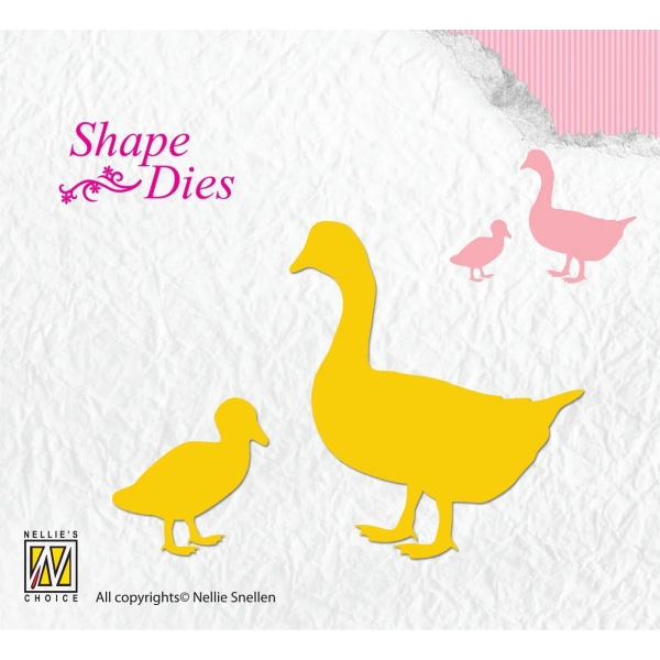 Geese, Stanze - Nellie's Choice