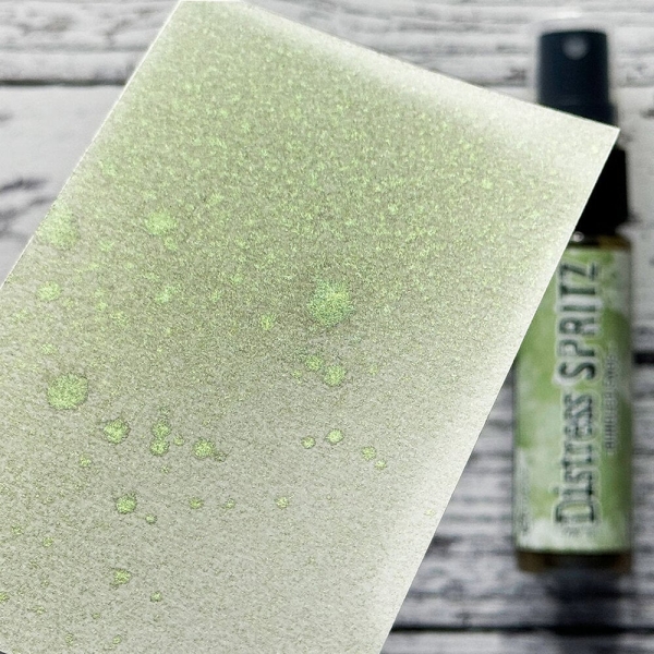 Distress SPRITZ - Bundled Sage - Tim Holtz (Ranger)