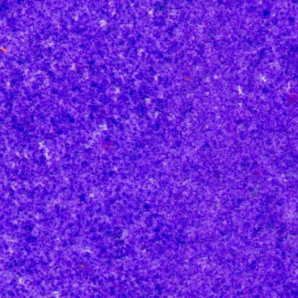 Embossing Primary - Indigo - WOW