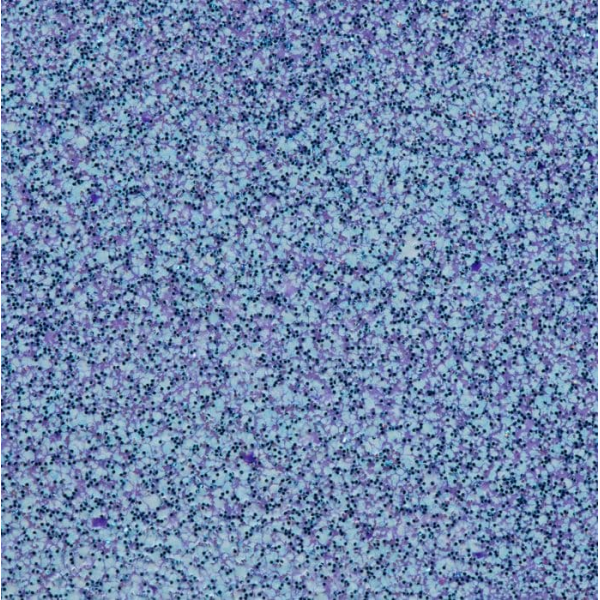 Embossing Glitters - Niagara Blues - WOW