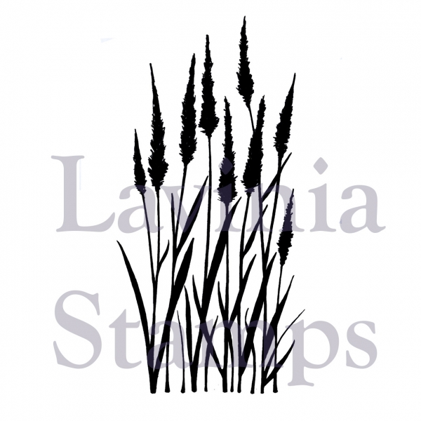 Meadow Grass, Clearstamp - Lavinia Stamps