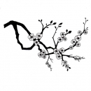 Cherry Blossom, Clearstamp - Lavinia Stamps
