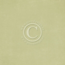 Pion Palette - Pion Green II