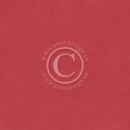 Pion Palette - Pion Red II