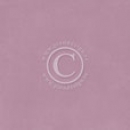 Pion Palette - Pion Purple V