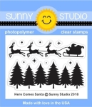 Here Comes Santa, Clearstamp - Sunny Studio Stamps